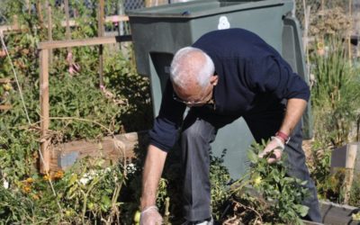 Work Day this Sunday, April 16! Help with spring weeding needed!